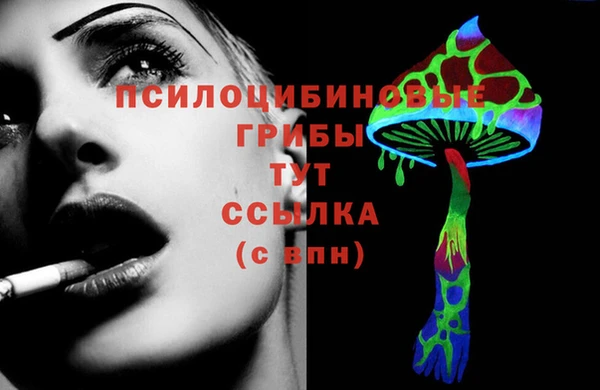 гидропоника Белокуриха