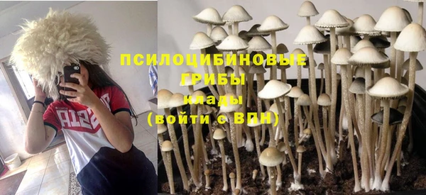 гидропоника Белокуриха