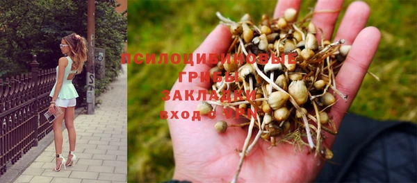 гидропоника Белокуриха