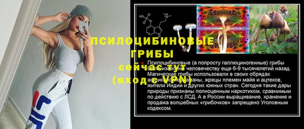 гидропоника Белокуриха